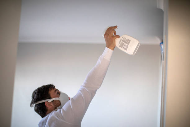 Best Post-Flood Mold Remediation in Newport, OH