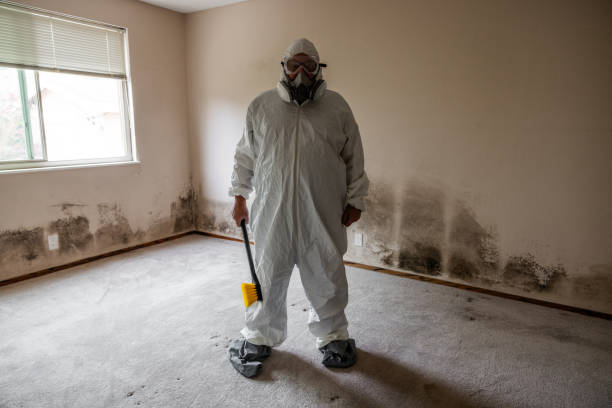 Best Mold Testing and Inspection Services in Newport, OH